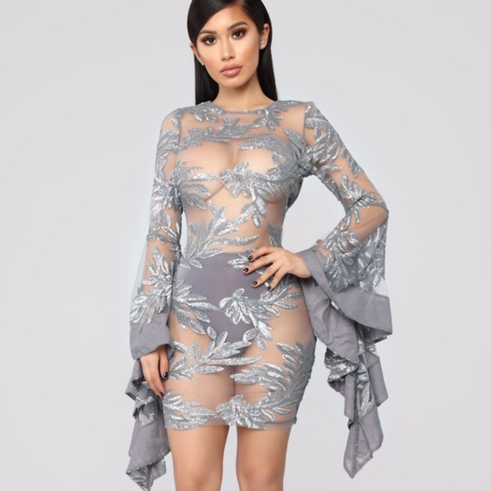 Silver mesh see thru dress